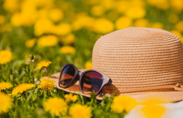 В четверг в Рязанской области потеплеет до +28 градусов