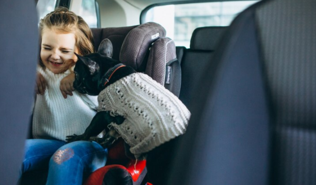 22 августа в Рязанской области проходит рейд «Детское кресло»