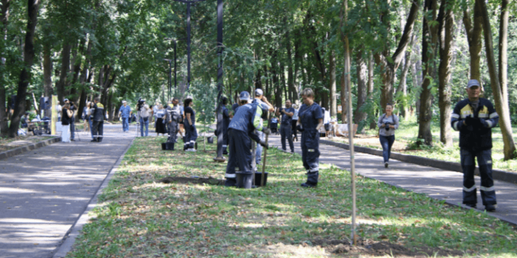 Горожане высадили в рязанском ЦПКиО «Именную аллею»