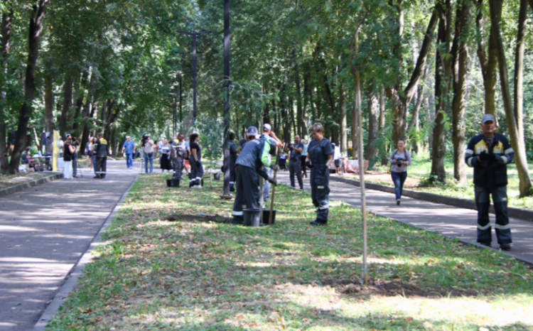 Горожане высадили в рязанском ЦПКиО «Именную аллею»