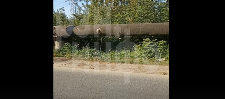 На улице Бирюзова 26 августа прорвало теплотрассу