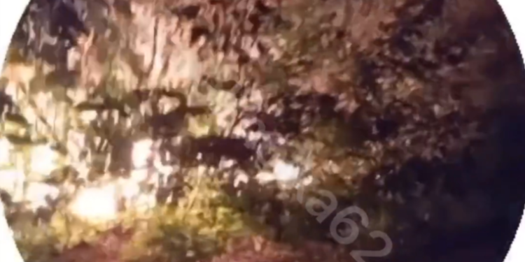 В рязанском Недостоеве загорелась местная лаборатория