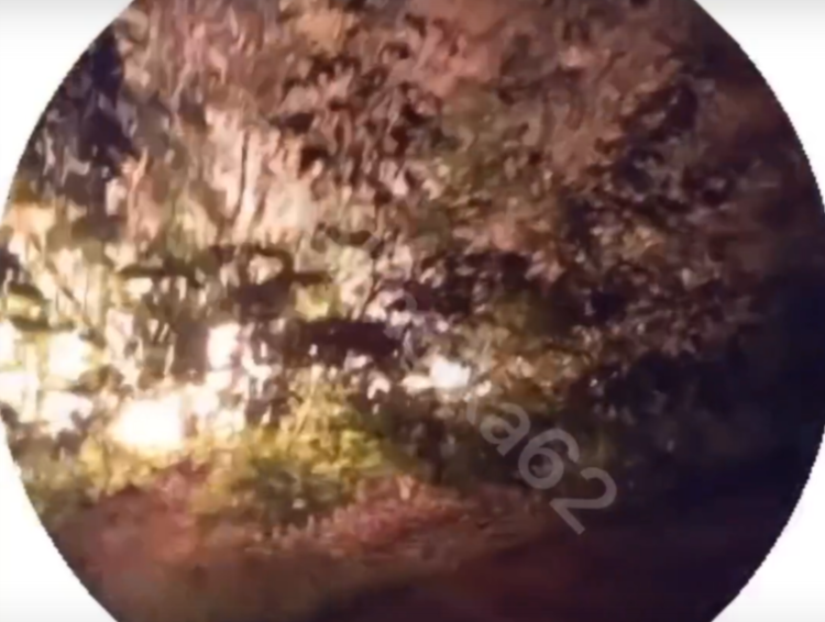 В рязанском Недостоеве загорелась местная лаборатория