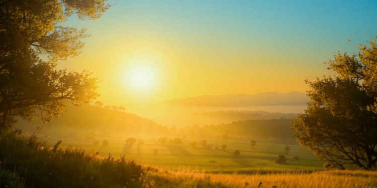 В Рязанской области продлили метеопредупреждение из-за жары до 29 августа