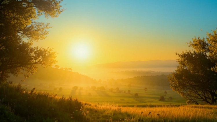 В Рязанской области продлили метеопредупреждение из-за жары до 29 августа