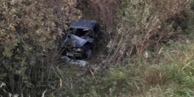 В ДТП в Пителинском районе пострадали четыре пассажира, в том числе двое детей