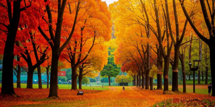 Вильфанд: начало осени в Рязанской области будет жарким