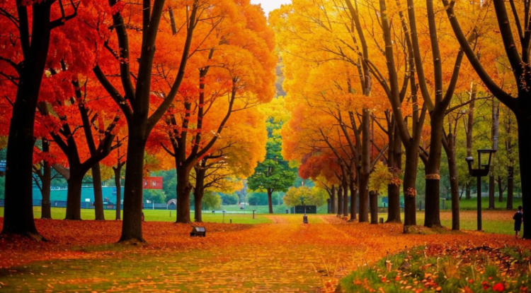 Вильфанд: начало осени в Рязанской области будет жарким