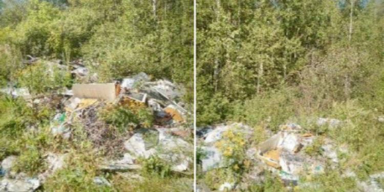 В рязанской Туме нашли несанкционированную свалку