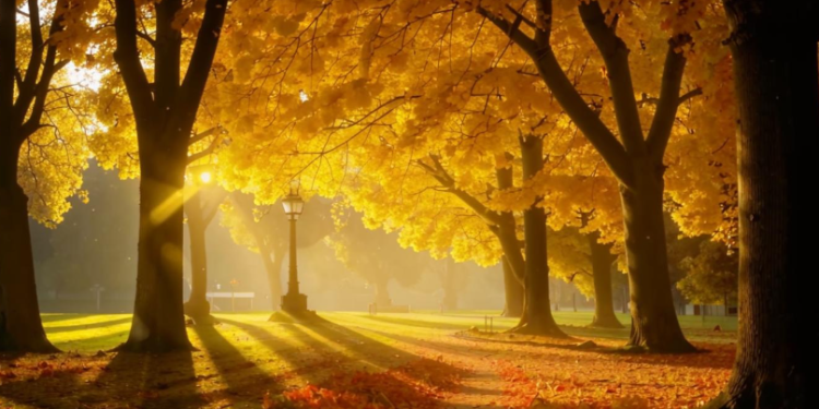 Вильфанд пообещал рязанцам жаркую погоду 1 сентября