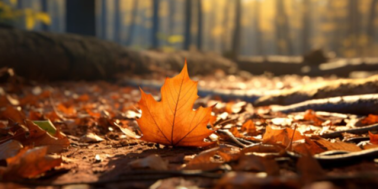 Метеоролог Евгений Тишковец рассказал россиянам о погоде в сентябре Метеоролог Евгений Тишковец рассказал россиянам о погоде в сентябре