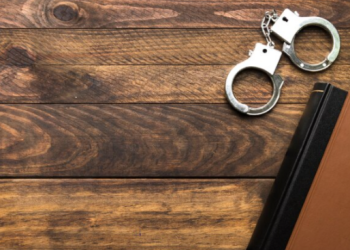 Рязанское ФСБ задержало 4 человек за незаконную миграцию 1000 иностранцев