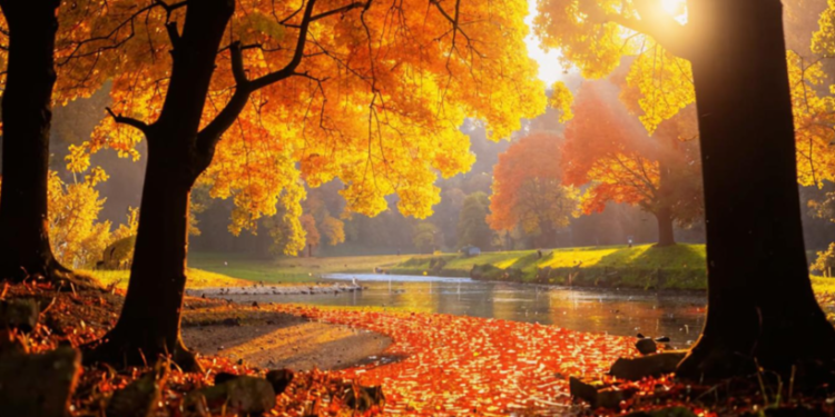 1 сентября в Рязанской области ожидается до +30 градусов