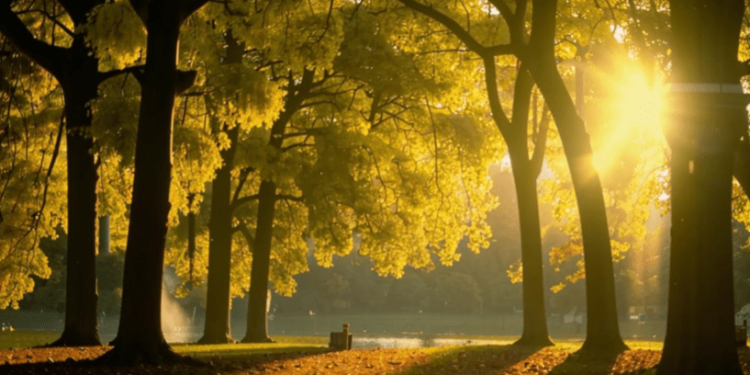 МЧС: со 2 по 3 сентября в Рязанской области ожидается жаркая погода