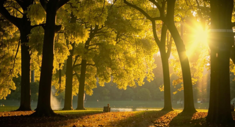 МЧС: со 2 по 3 сентября в Рязанской области ожидается жаркая погода