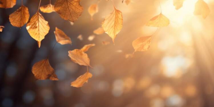 Синоптик Леус: к концу недели в Центральной России станет прохладнее