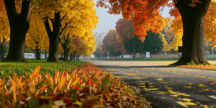 Во вторник в Рязанской области ожидается до +29 градусов