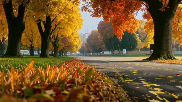 Во вторник в Рязанской области ожидается до +29 градусов
