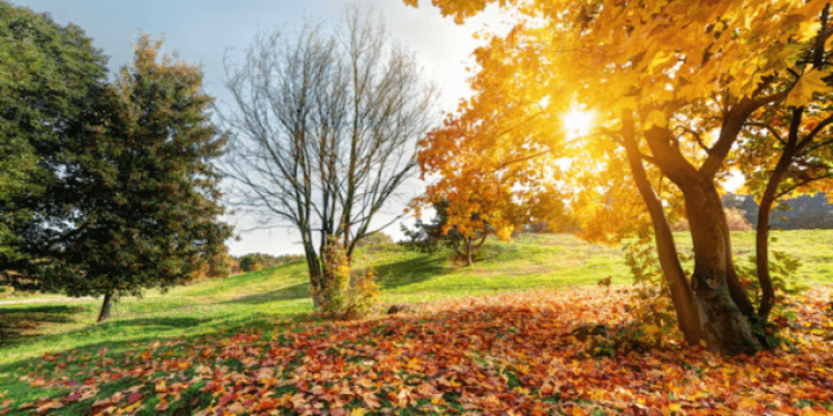 В среду в Рязанской области ожидается до +27 градусов В среду в Рязанской области ожидается до +27 градусов