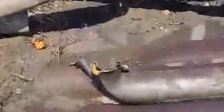 В Сети опубликовали фото последствий удара дрона по подстанции в Михайловском районе В Сети опубликовали фото последствий удара дрона по подстанции в Михайловском районе