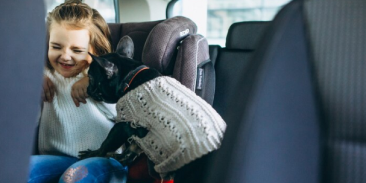 В Рязанской области во время рейда "Детское кресло" полиция выявила 17 нарушений ПДД В Рязанской области во время рейда «Детское кресло» полиция выявила 17 нарушений ПДД