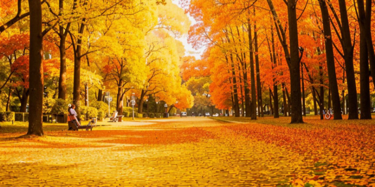 Вильфанд: в выходные дни в Центральной России ожидается до +25 градусов