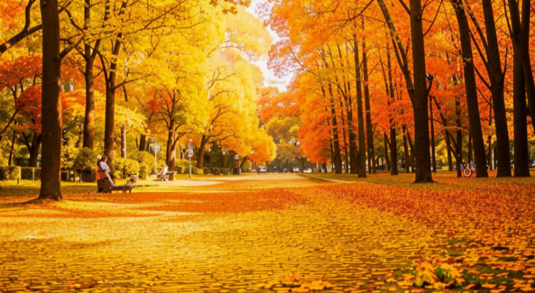 Вильфанд: в выходные дни в Центральной России ожидается до +25 градусов