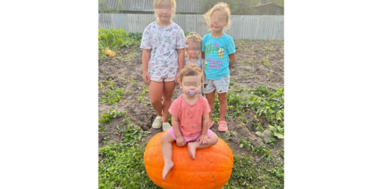 В рязанском Старожилове местная жительница вырастила тыкву весом 81 килограмм