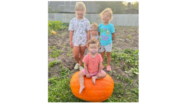 В рязанском Старожилове местная жительница вырастила тыкву весом 81 килограмм