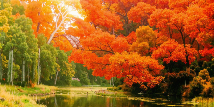 Метеоролог Шувалов: в выходные дни в Центральной России будет теплая и солнечная погода