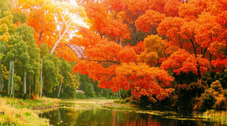 Метеоролог Шувалов: в выходные дни в Центральной России будет теплая и солнечная погода