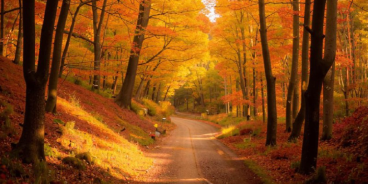 Метеоролог Шувалов: дожди в Центральной части России ожидаются только после 20 сентября