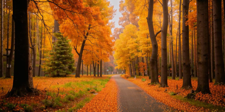 Во вторник в Рязанской области ожидается до +28 градусов Во вторник в Рязанской области ожидается до +28 градусов