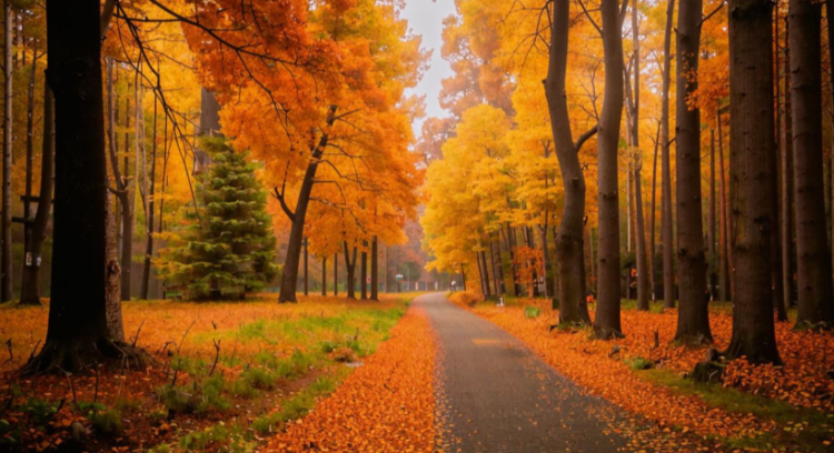 Во вторник в Рязанской области ожидается до +28 градусов