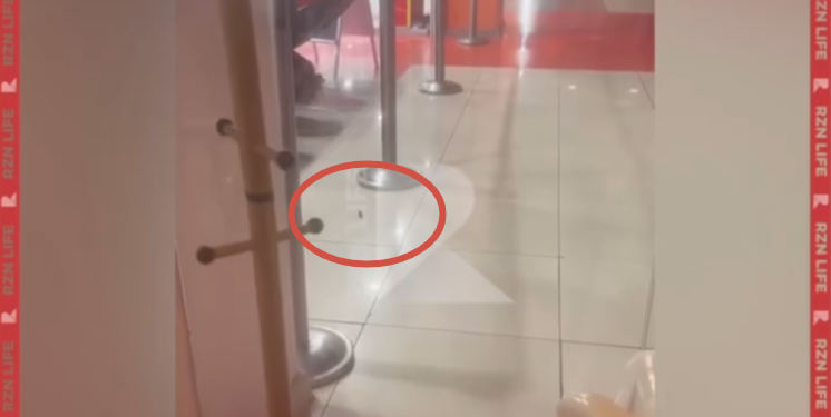 В ресторане «Сковорода» в рязанском ТРЦ «Круиз» засняли тараканов