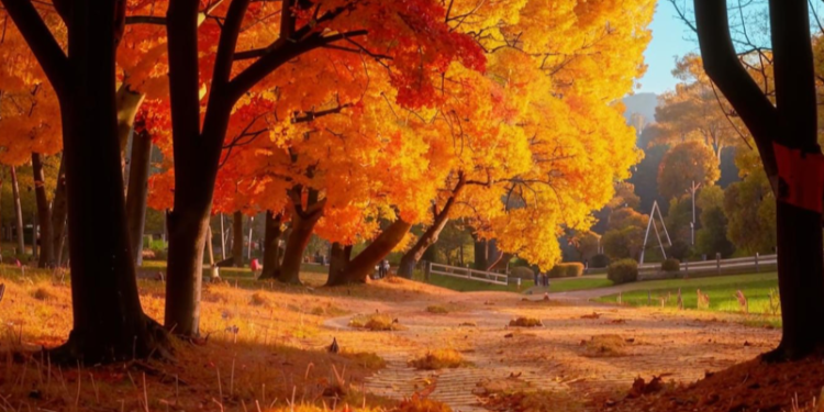 Леус: 13 сентября в Центральной России обновится температурный рекорд