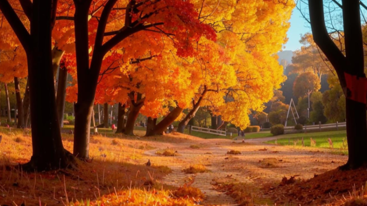 Леус: 13 сентября в Центральной России обновится температурный рекорд