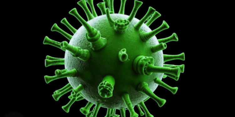 За неделю в Рязанской области COVID-19 заразились 175 человек