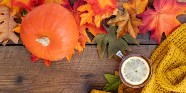 В четверг в Рязанской области потеплеет до +29 градусов