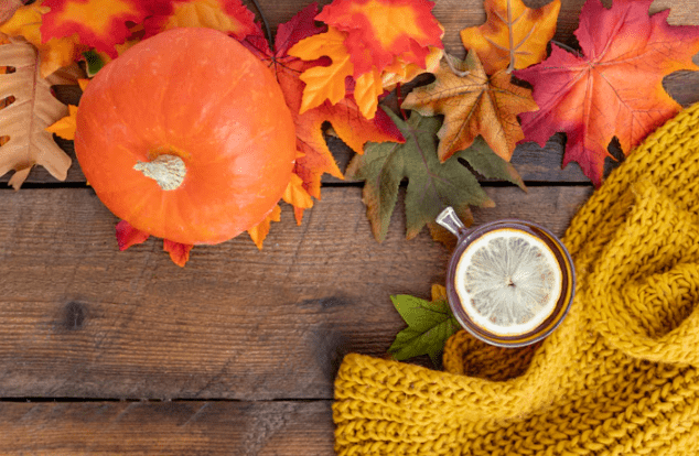 В четверг в Рязанской области потеплеет до +29 градусов