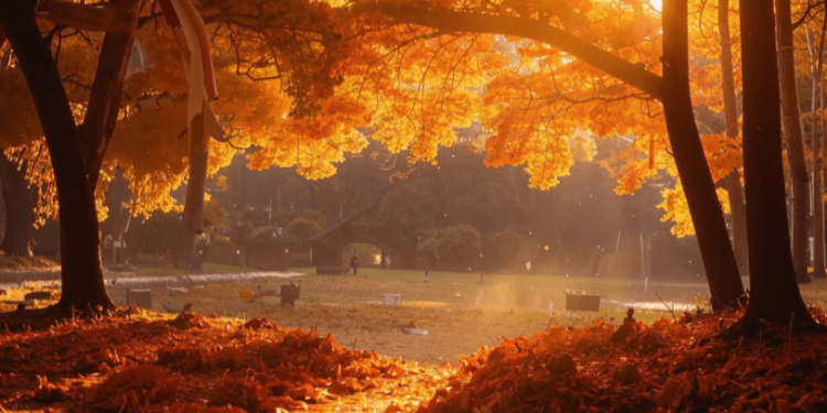 Осенняя погода придет в Центральную часть России в предстоящие выходные