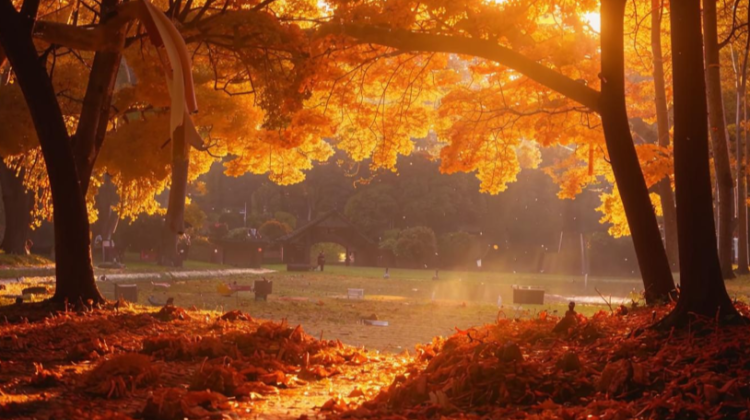 Осенняя погода придет в Центральную часть России в предстоящие выходные