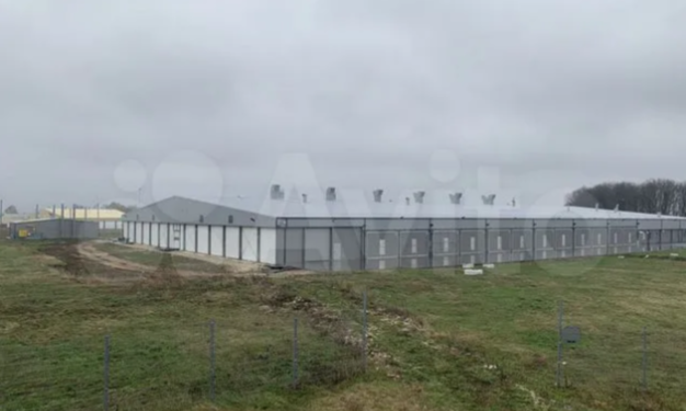 Рязанскую ферму по выращиванию грибов продают за 600 миллионов рублей