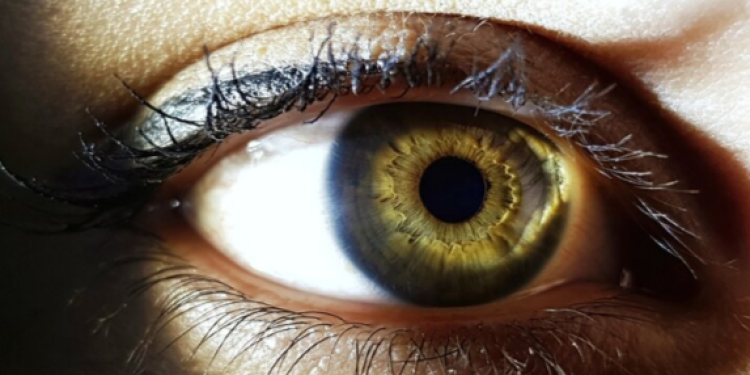 Рязанские врачи спасли пациентку с редкой патологией глаза