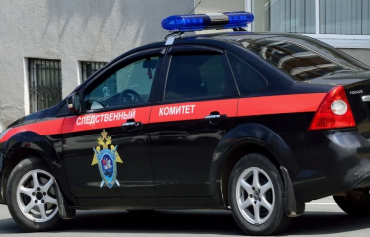 Рязанские следователи начали проверку после выпадения 10-летней девочки из окна многоэтажки