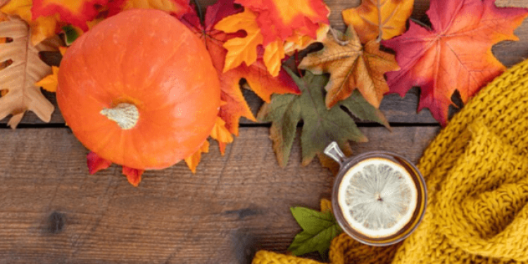 Метеоролог Тишковец пообещал россиянам дождливый октябрь