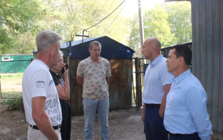 Рязанцы провели в Мемориальном парке совещание по отлову бездомных собак