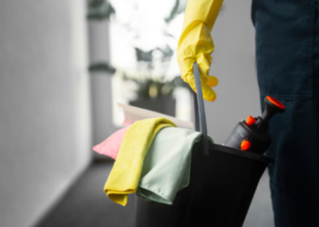 Как сделать окна идеально чистыми без особых хлопот