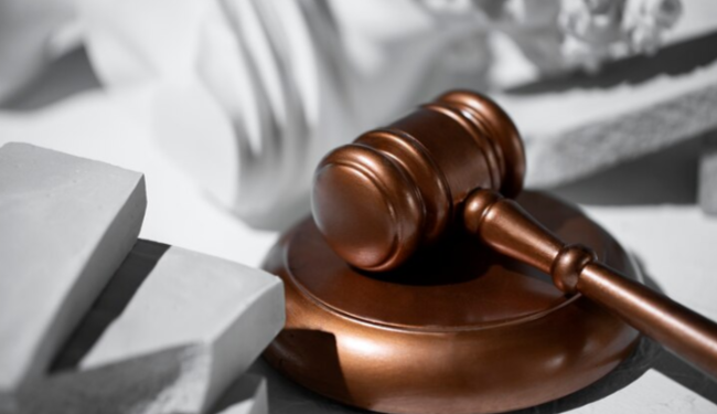 Рязанского зоозащитника Никиту Черничкина отправили в колонию на 6 лет