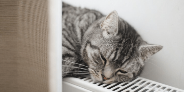 Под Рязанью 26 и 27 сентября в пробном режиме запустят отопление в домах Под Рязанью 26 и 27 сентября в пробном режиме запустят отопление в домах